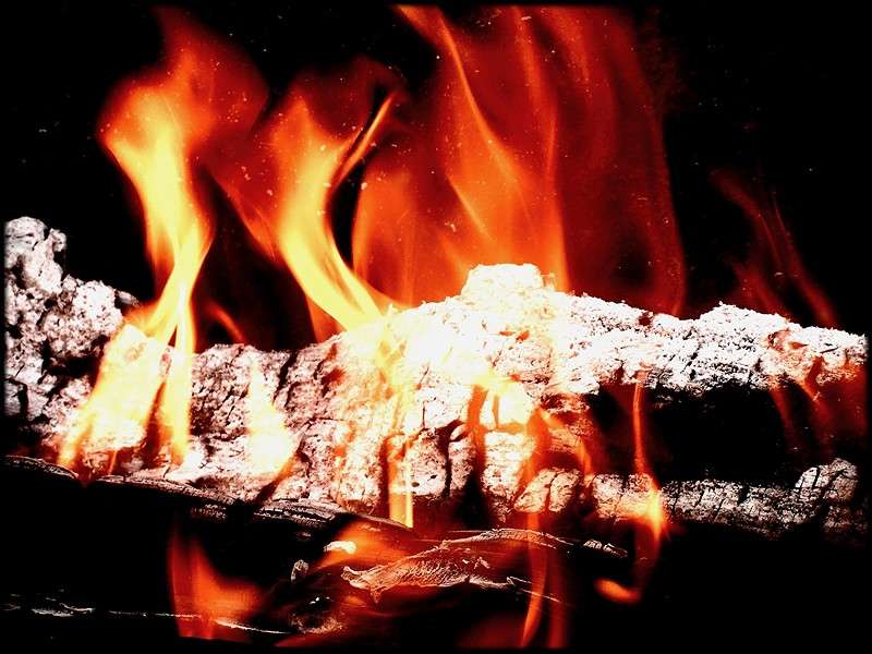 ... ����� Tamara Belo �� PhotoGeek.ru #�����