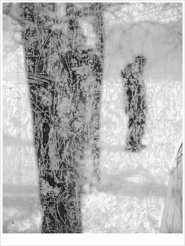 ... ����� Tamara Belo �� PhotoGeek.ru #�����