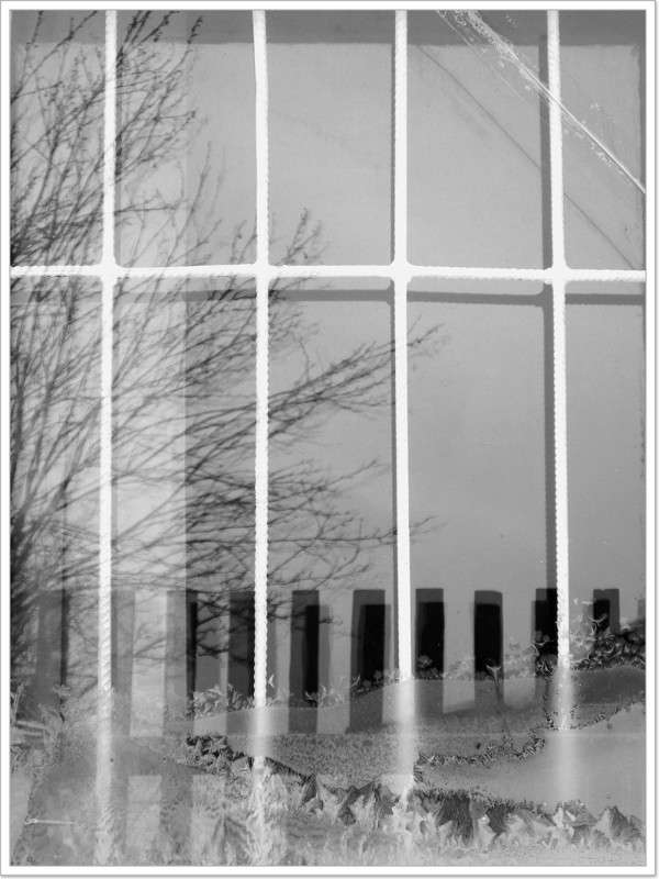 ... ����� Tamara Belo �� PhotoGeek.ru #�����������