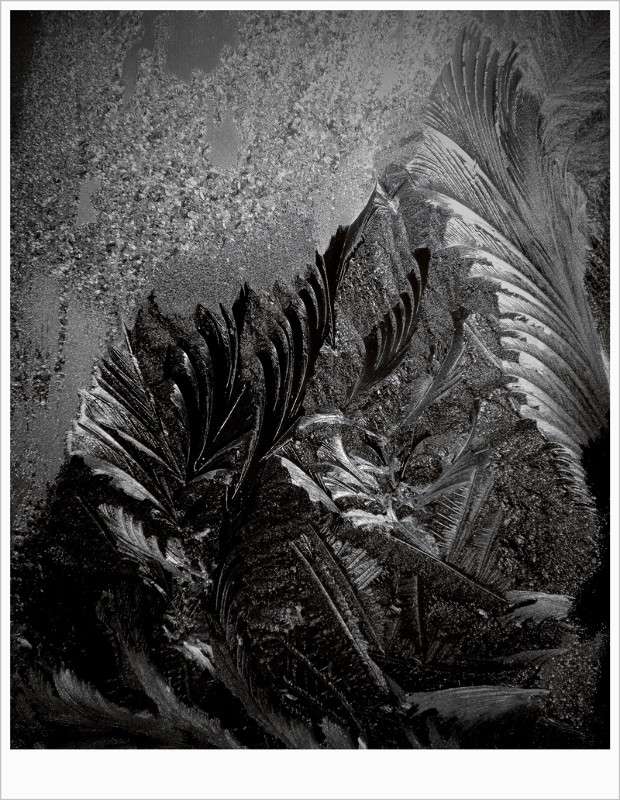 ... ����� Tamara Belo �� PhotoGeek.ru #�����