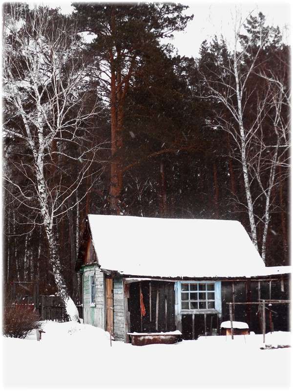 ... ����� Tamara Belo �� PhotoGeek.ru #�����������