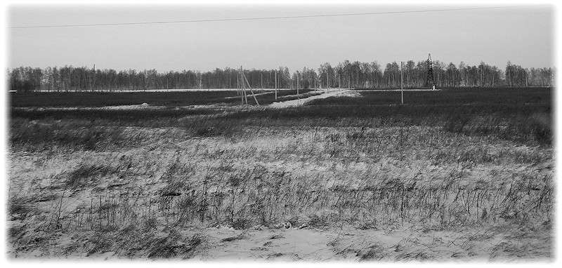 ... ����� Tamara Belo �� PhotoGeek.ru #�����-�����