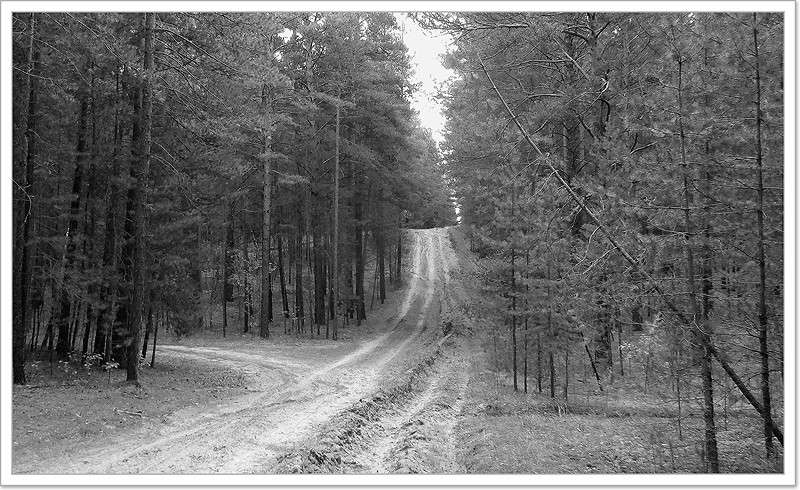 ... ����� Tamara Belo �� PhotoGeek.ru #������ ��� ������� #�����-�����