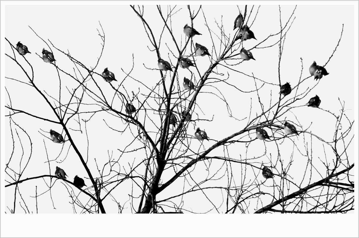 ... ����� Tamara Belo �� PhotoGeek.ru #������ ��� ������� #�����-�����