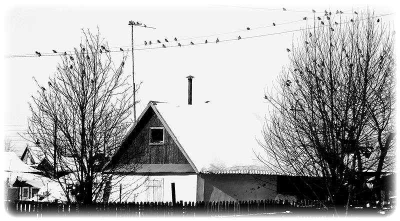 ... ����� Tamara Belo �� PhotoGeek.ru #�����-�����