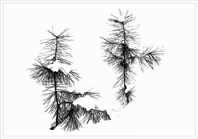 ... ����� Tamara Belo �� PhotoGeek.ru #����� #�����-�����