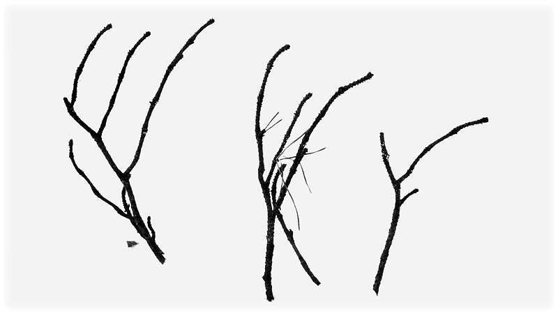 ... ����� Tamara Belo �� PhotoGeek.ru #����� #�����-�����