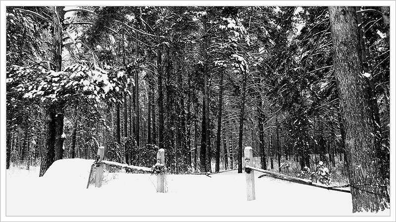 ... ����� Tamara Belo �� PhotoGeek.ru #������ ��� ������� #�����-�����