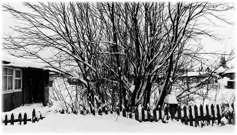 ... ����� Tamara Belo �� PhotoGeek.ru #��������� #�����-�����