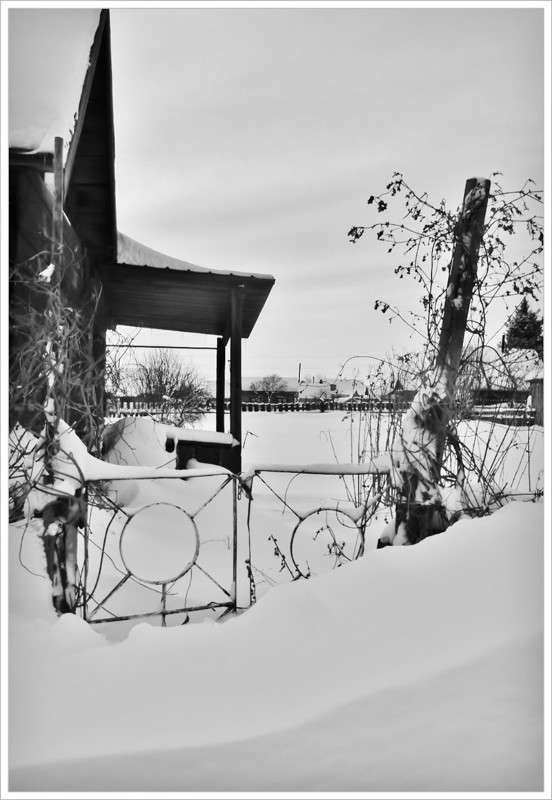 ... ����� Tamara Belo �� PhotoGeek.ru #�����-�����