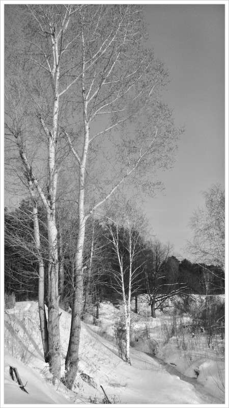 ... ����� Tamara Belo �� PhotoGeek.ru #������ ��� ������� #�����-�����