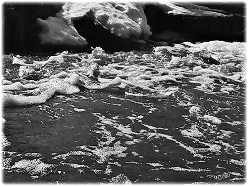 ... ����� Tamara Belo �� PhotoGeek.ru #������ ��� ������� #�����-�����