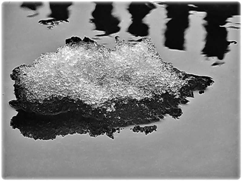 ... ����� Tamara Belo �� PhotoGeek.ru #������ ��� ������� #�����-�����