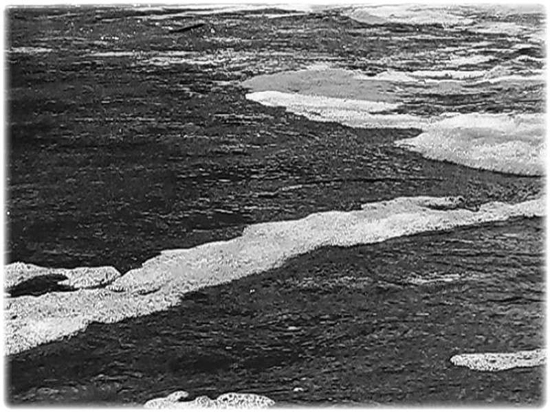 ... ����� Tamara Belo �� PhotoGeek.ru #������ ��� ������� #�����-�����