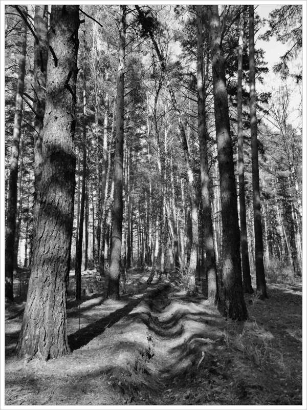 ... ����� Tamara Belo �� PhotoGeek.ru #������ ��� ������� #�����-�����