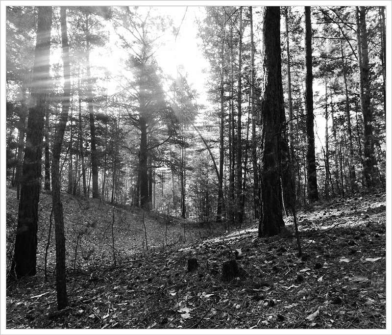 ... ����� Tamara Belo �� PhotoGeek.ru #������ ��� ������� #�����-�����