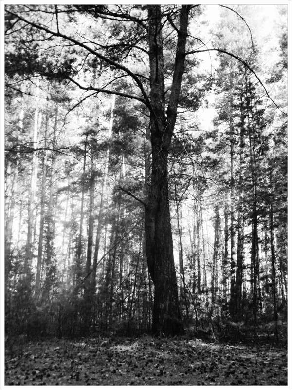 ... ����� Tamara Belo �� PhotoGeek.ru #������ ��� ������� #�����-�����