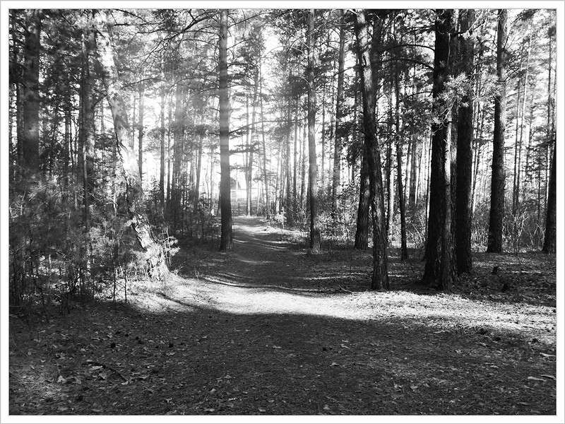 ... ����� Tamara Belo �� PhotoGeek.ru #������ ��� ������� #�����-�����