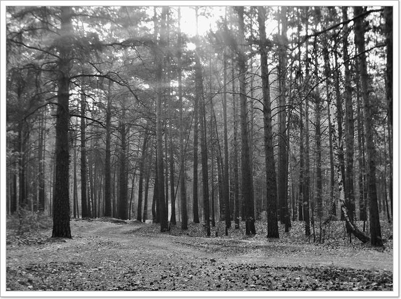 ... ����� Tamara Belo �� PhotoGeek.ru #������ ��� ������� #�����-�����