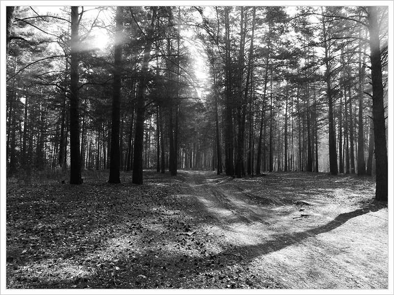 ... ����� Tamara Belo �� PhotoGeek.ru #������ ��� ������� #�����-�����