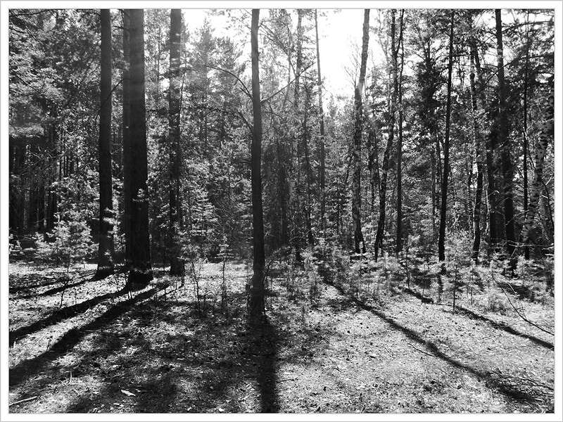 ... ����� Tamara Belo �� PhotoGeek.ru #������ ��� ������� #�����-�����