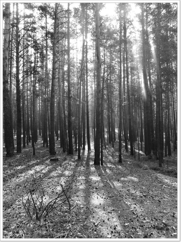 ... ����� Tamara Belo �� PhotoGeek.ru #������ ��� ������� #�����-�����