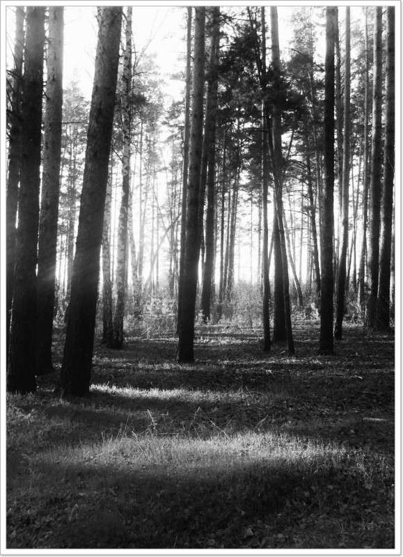 �������� ���. ����� Tamara Belo �� PhotoGeek.ru #������ ��� ������� #�����-�����