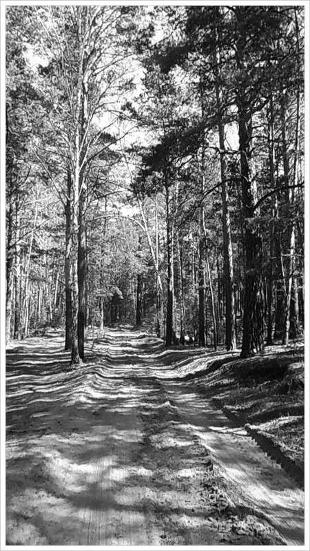 ... ����� Tamara Belo �� PhotoGeek.ru #������ ��� ������� #�����-�����