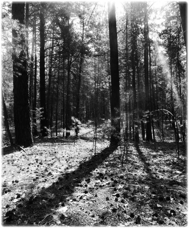 ... ����� Tamara Belo �� PhotoGeek.ru #������ ��� ������� #�����-�����