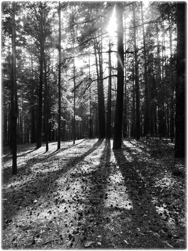 ... ����� Tamara Belo �� PhotoGeek.ru #������ ��� ������� #�����-�����