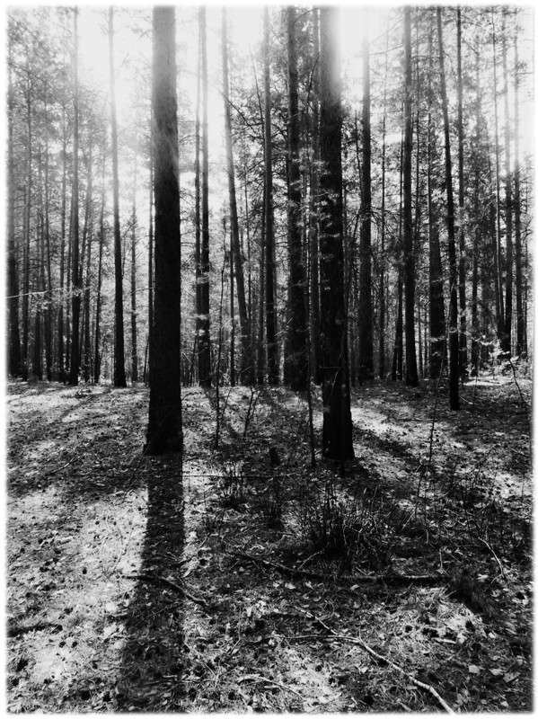 ... ����� Tamara Belo �� PhotoGeek.ru #������ ��� ������� #�����-�����