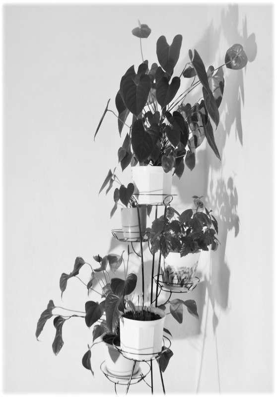 ... ����� Tamara Belo �� PhotoGeek.ru #����������� #�����-�����