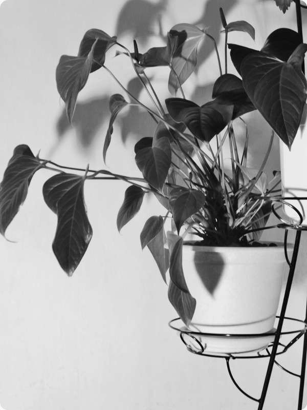 ... ����� Tamara Belo �� PhotoGeek.ru #����� �������������� #�����-�����