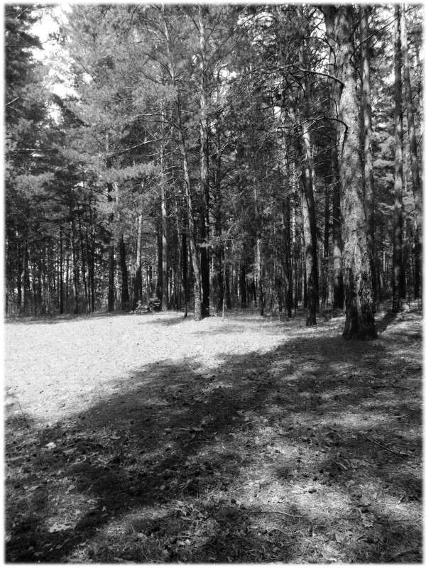 ... ����� Tamara Belo �� PhotoGeek.ru #������ ��� ������� #�����-�����