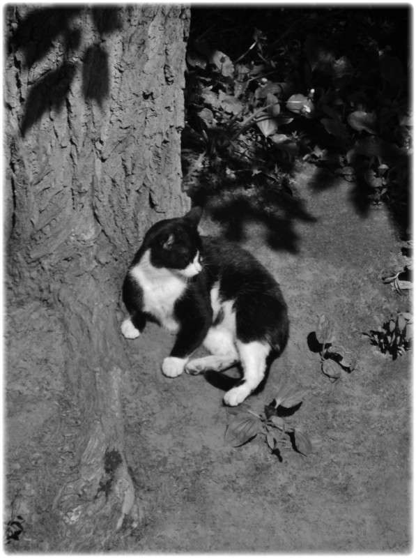 ... ����� Tamara Belo �� PhotoGeek.ru #�������� ��� #�����-�����