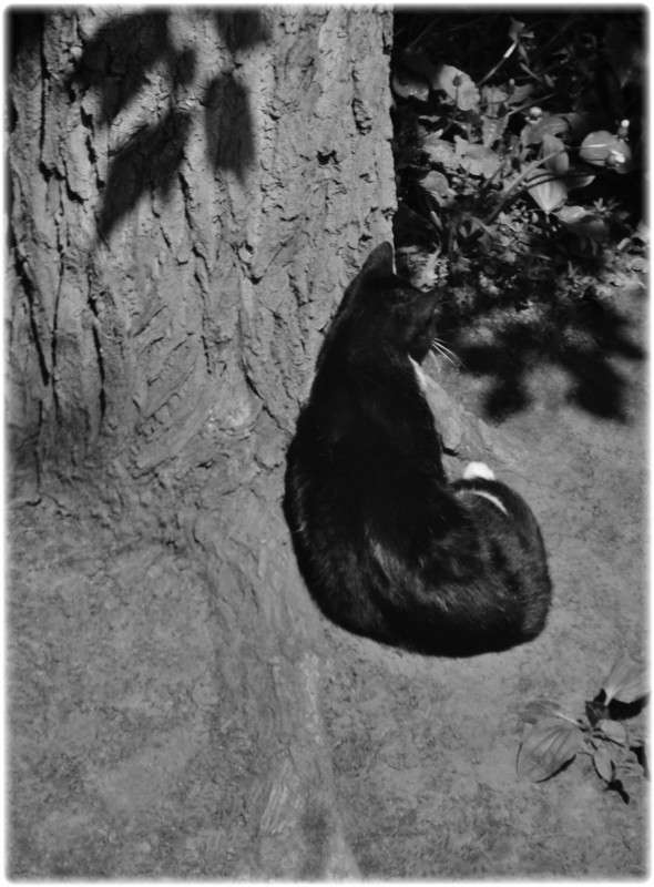 ... ����� Tamara Belo �� PhotoGeek.ru #�������� ��� #�����-�����