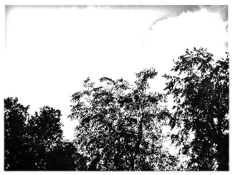 ... ����� Tamara Belo �� PhotoGeek.ru #�����-�����