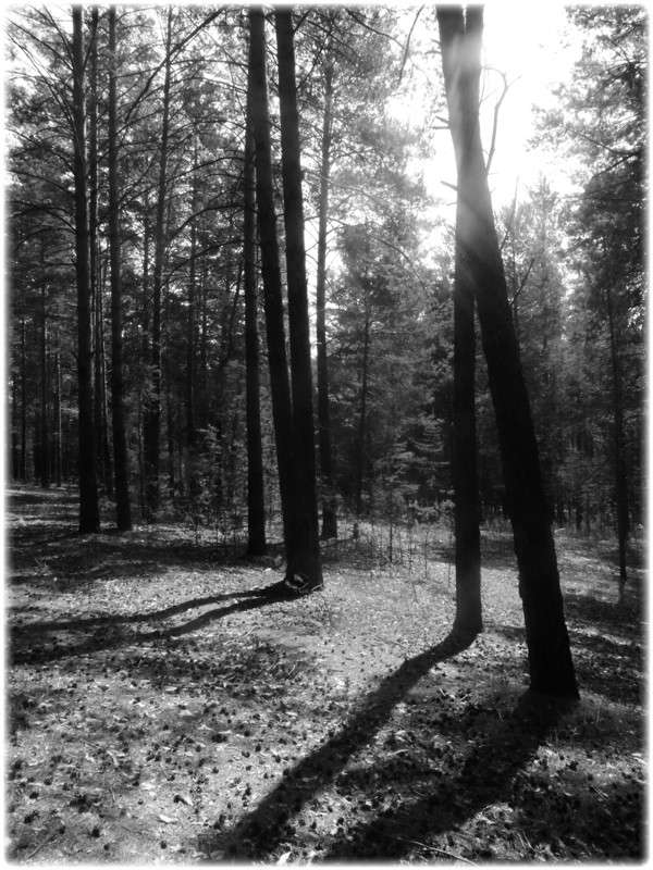 ... ����� Tamara Belo �� PhotoGeek.ru #������ ��� ������� #�����-�����