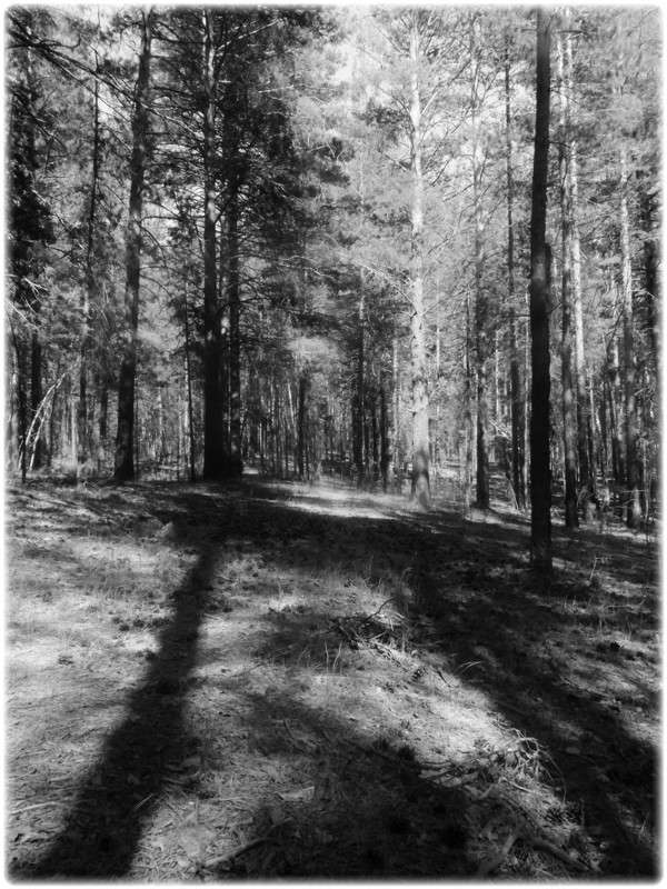 ... ����� Tamara Belo �� PhotoGeek.ru #������ ��� ������� #�����-�����