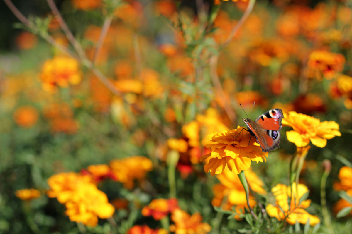 ... ����� ����  �� PhotoGeek.ru #����� #�������� ��� #���������