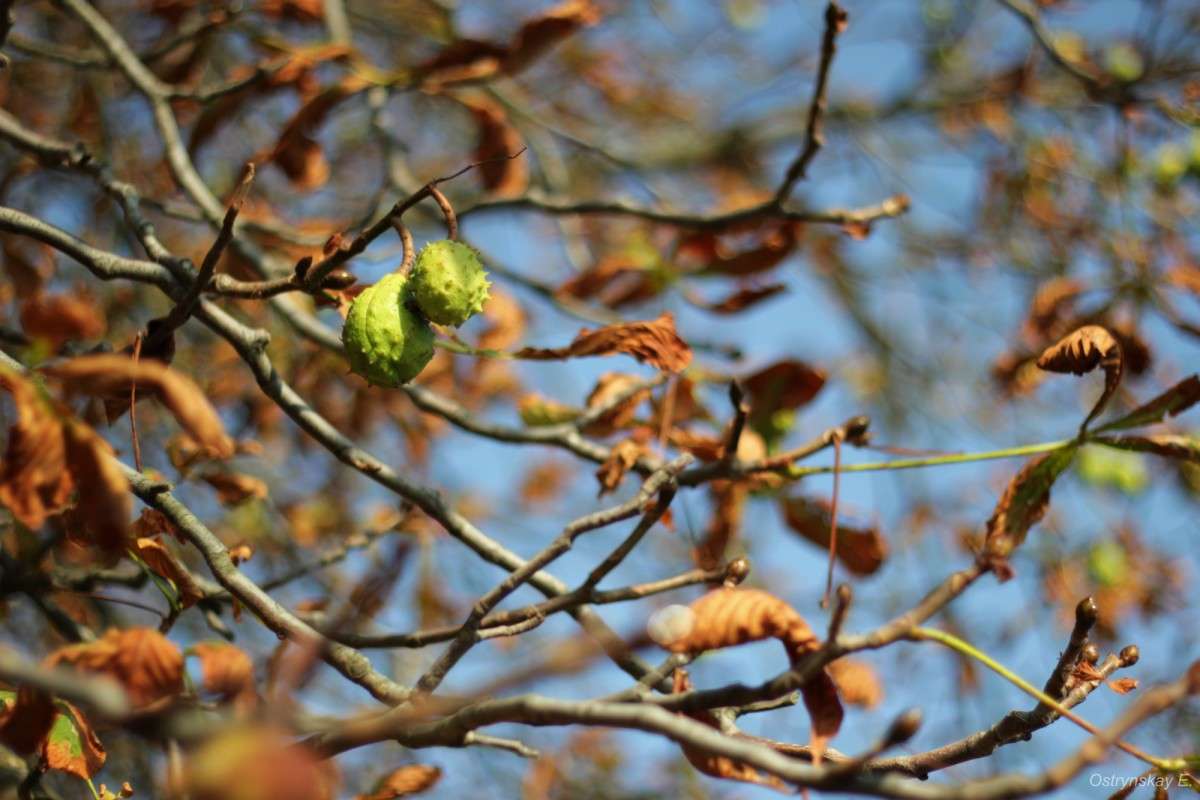 ... ����� ����  �� PhotoGeek.ru #������ ��� ������� #����� ��������������