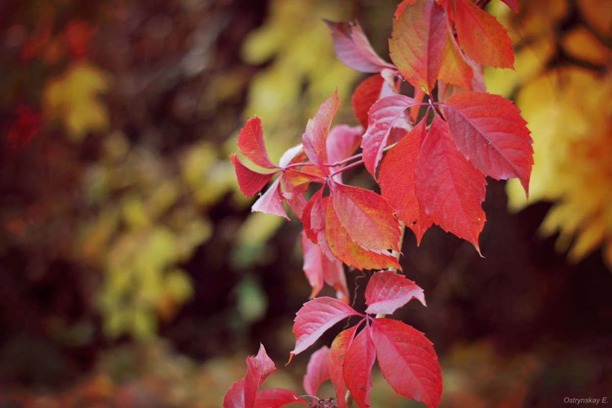 ... ����� ����  �� PhotoGeek.ru #����� #������ ��� ������� #����� ��������������