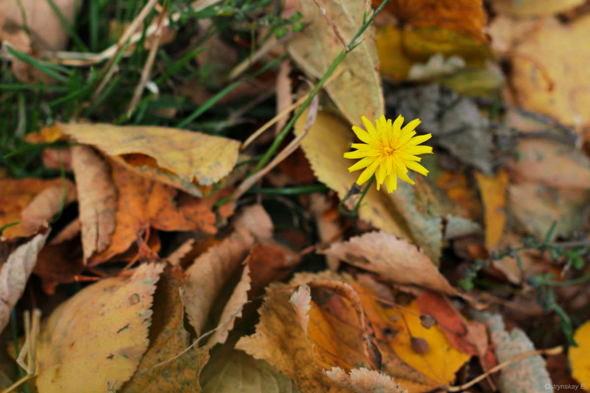 ... ����� ����  �� PhotoGeek.ru #����� #����� ��������������