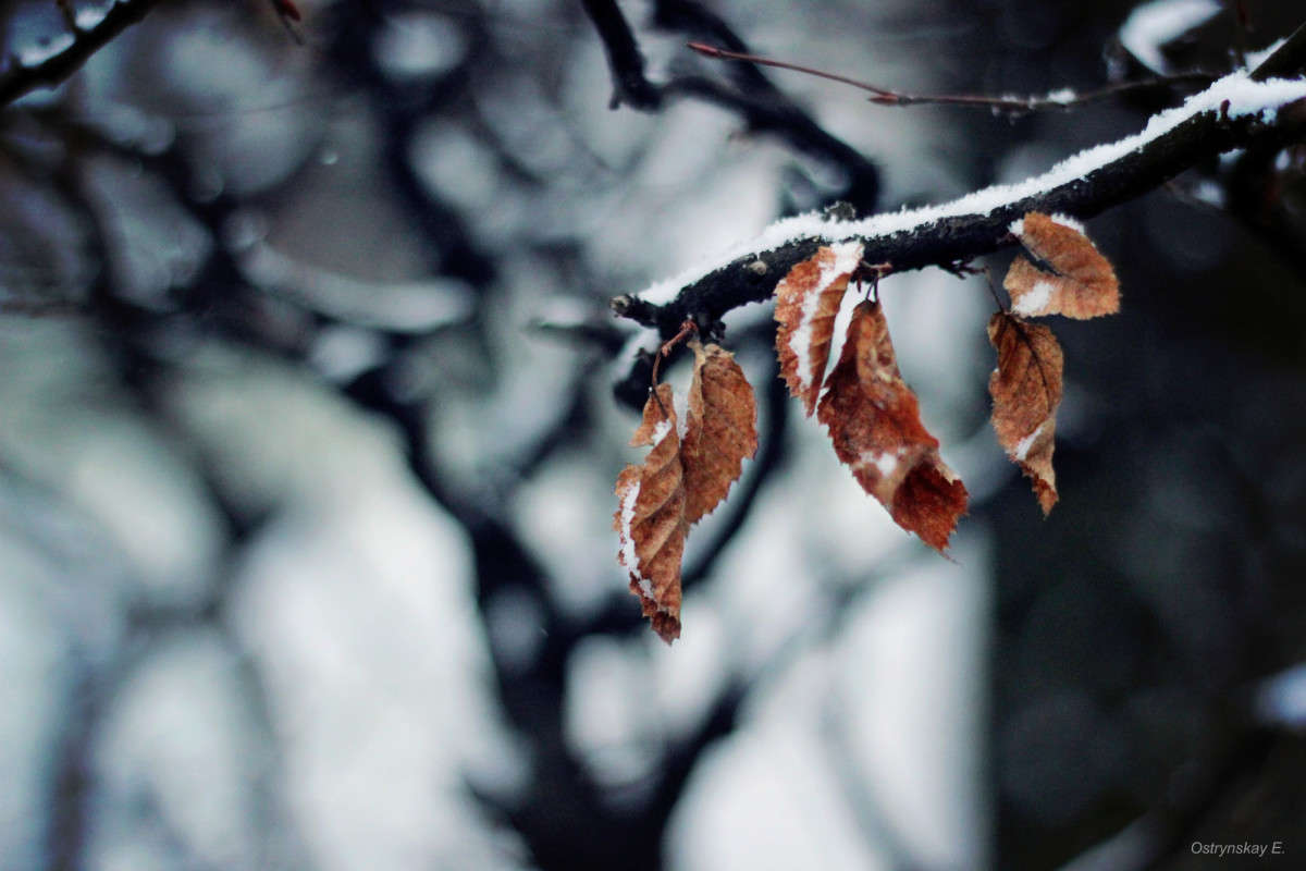 ... ����� ����  �� PhotoGeek.ru #����� #������ ��� ������� #����� ��������������