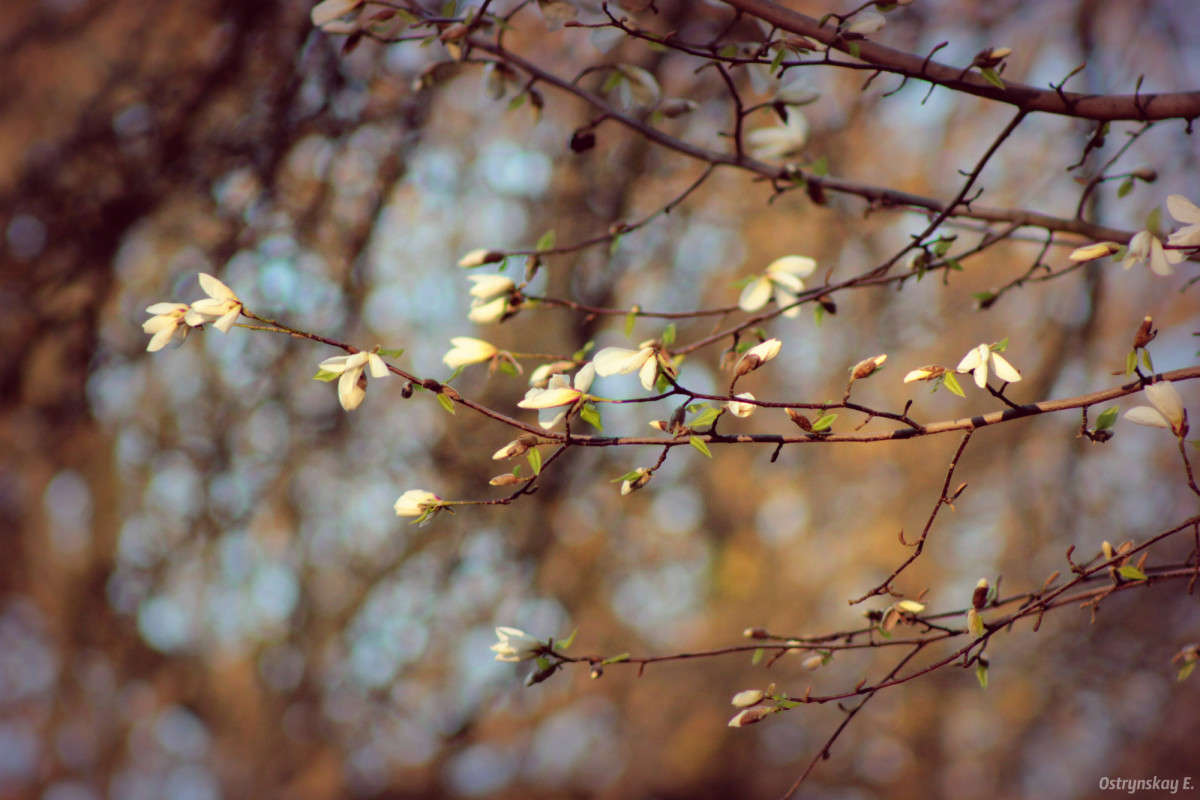 �������� ����� ����  �� PhotoGeek.ru #������ ��� ������� #����� �������������� #������ #����� ��������