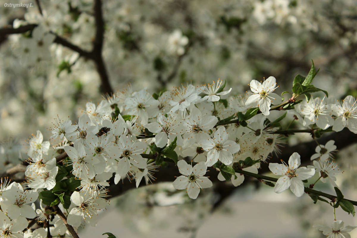 � ��������� ����� ����� ����  �� PhotoGeek.ru #������ ��� ������� #����� �������������� #������ #����� ��������