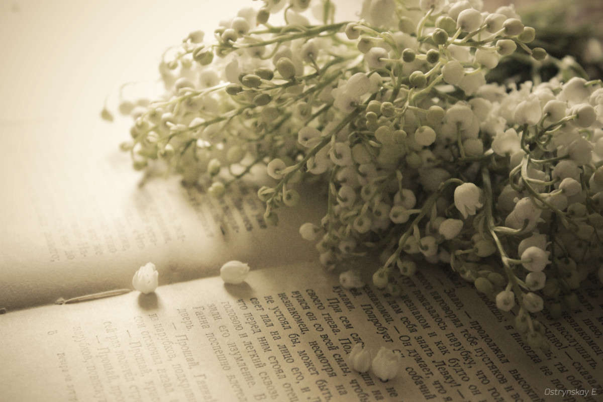 ������ ������� ����� ����  �� PhotoGeek.ru #��������� #�������� ���������� #����� �������������� #������������� #�����