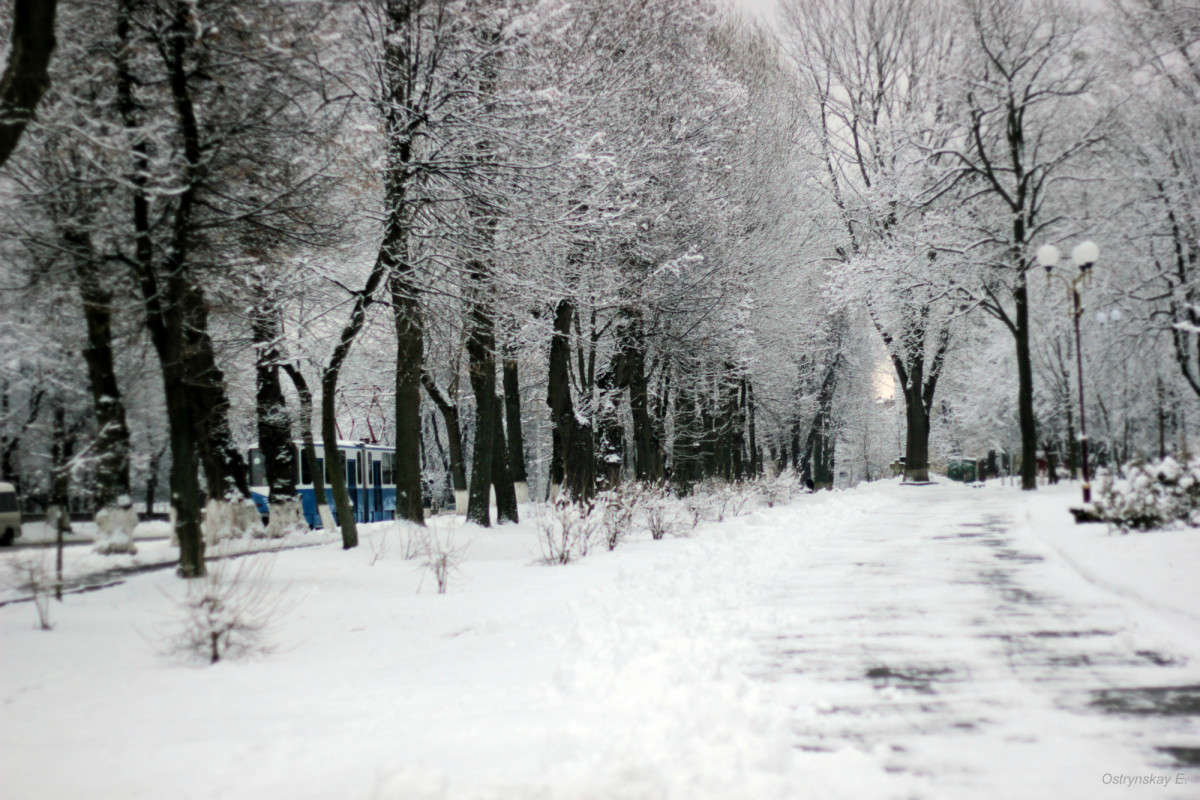 ... автор Лена  на PhotoGeek.ru #Город #Города мира #Городской пейзаж #Зима