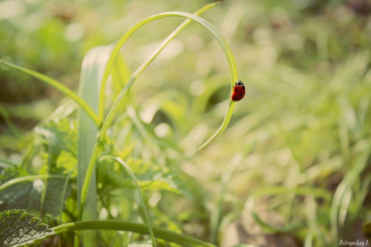 ����� ������� ����� ����  �� PhotoGeek.ru #����� #���������