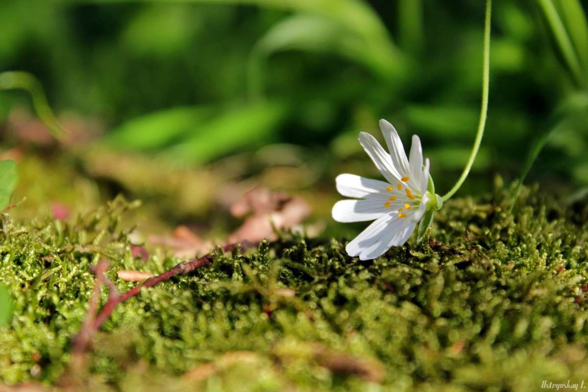 ... ����� ����  �� PhotoGeek.ru #����� #����� ��������������